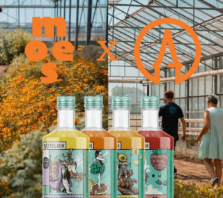 Moes Batteliek workshop square